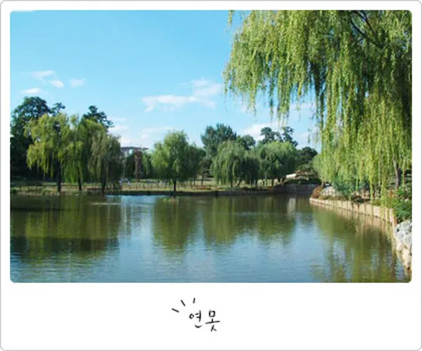 용산가족공원 사진 3