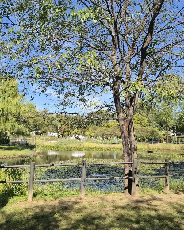 龍山家族公園の写真4