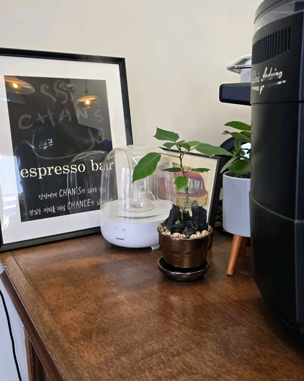 チャンスコーヒーの写真4