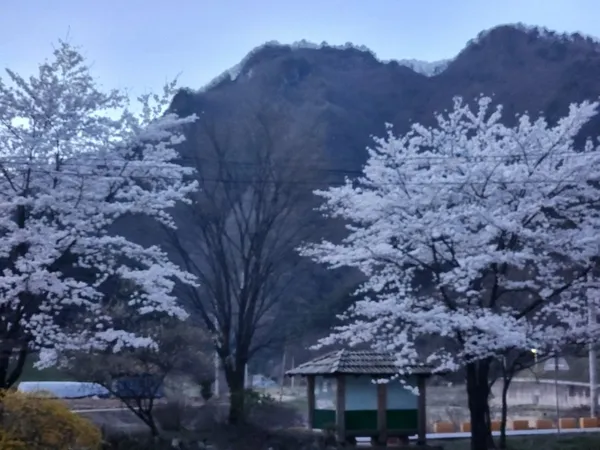 보리산 사진 4