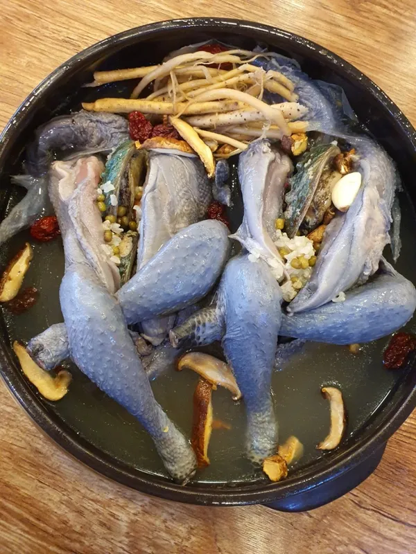 미가꼬끼요 사진 3