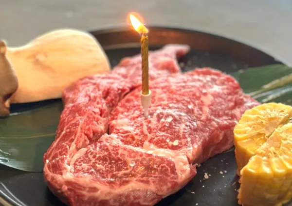우메이징 사진 5