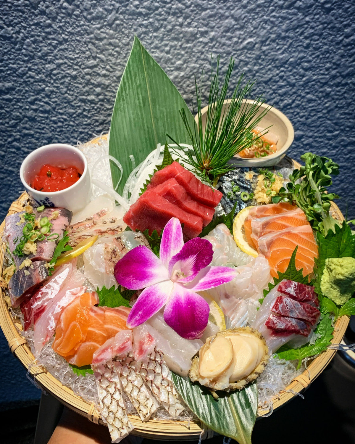 바다당 사진 5