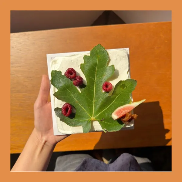 백야 사진 2