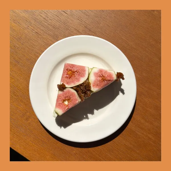백야 사진 3
