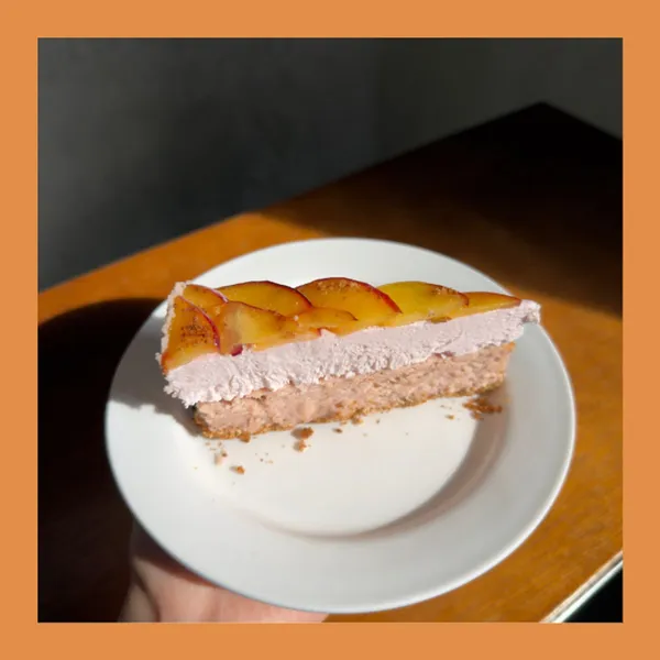 백야 사진 5