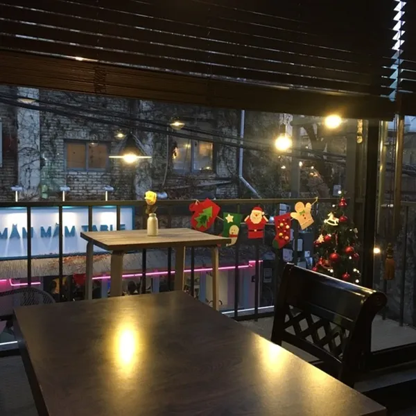 라임 사진 5