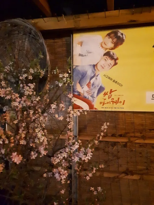 신정보리밥 사진 2