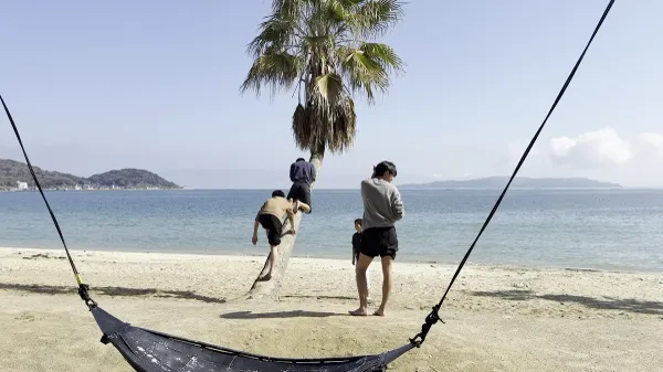 Palm Tree Swing 사진 2