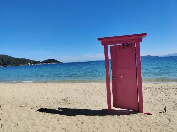 Palm Tree Swing 사진 3