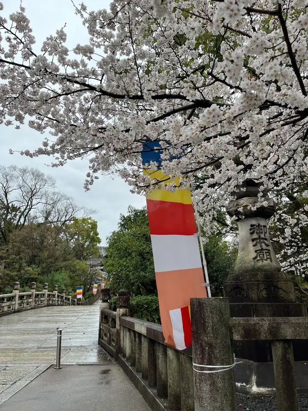 Otanihonbyoentsu Bridge 사진 3