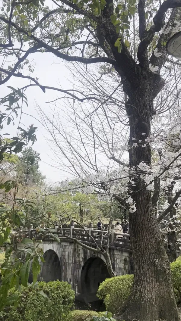 Otanihonbyoentsu Bridge 사진 4
