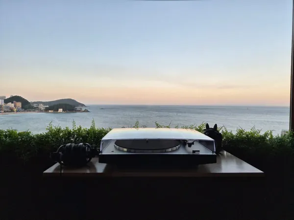 오션더레코드