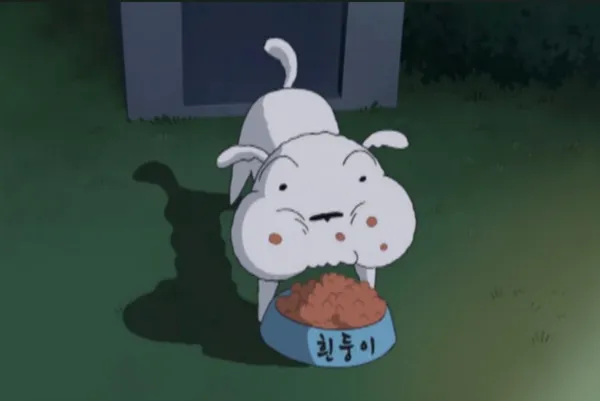 회포차 사진 4