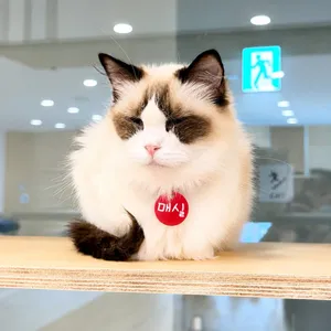 Catple Ulsan Seongnam Branch