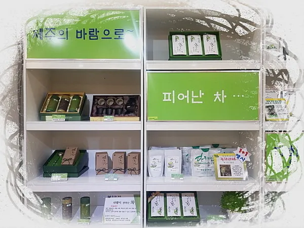 다희연 사진 3
