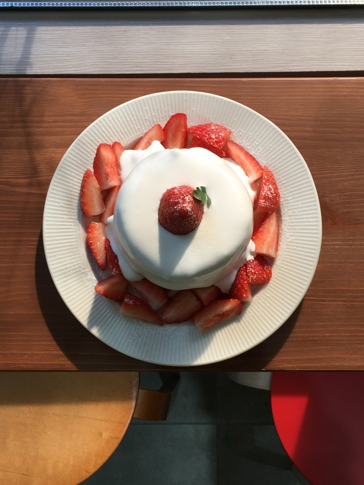 테르소 사진 5