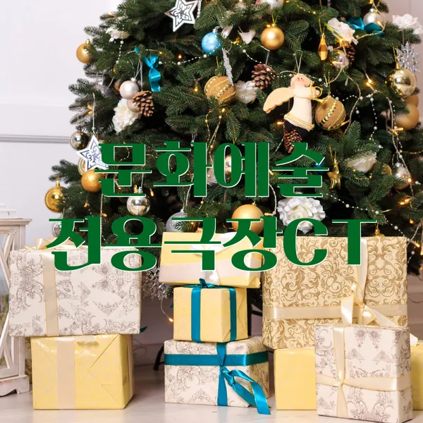 문화예술전용극장CT 사진 3