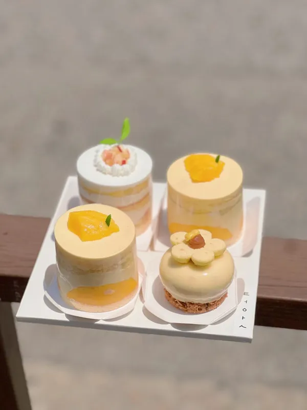 터앗 사진 4