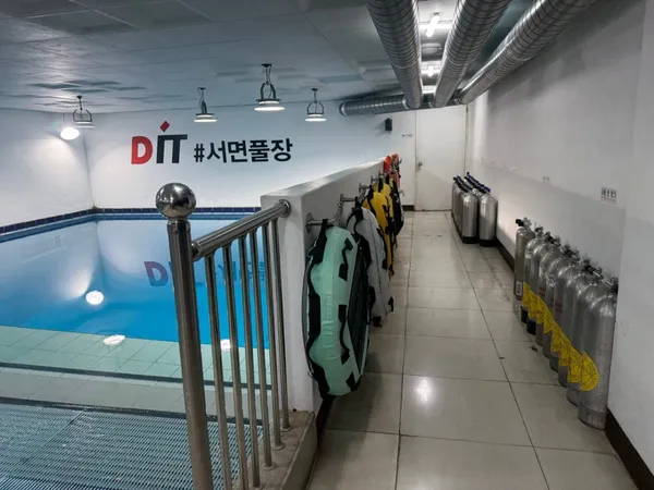 DIT 디아이티 사진 4
