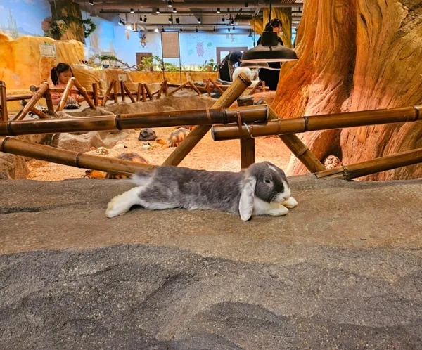 Lala Zoo, photo 3