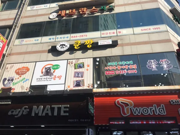 쿤짱 사진 3