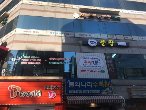 쿤짱 사진 4