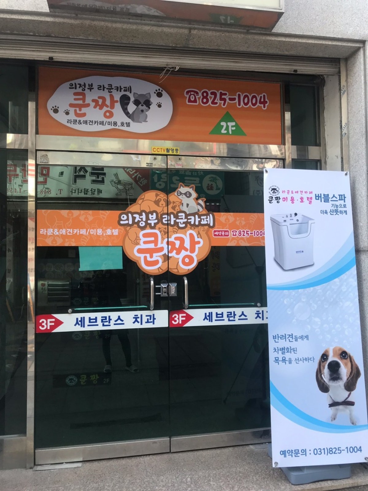 쿤짱 사진 5