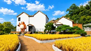 Ganghwa Homi