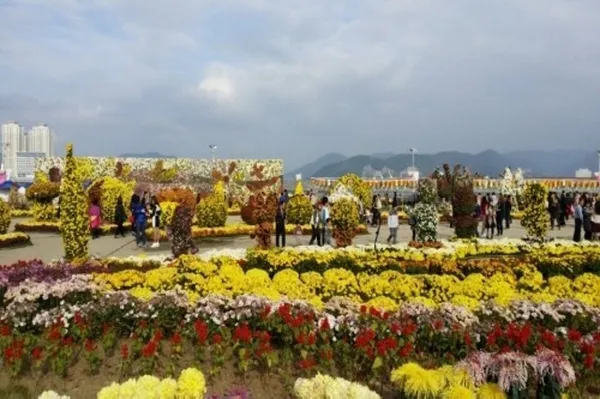 마산가고파국화축제