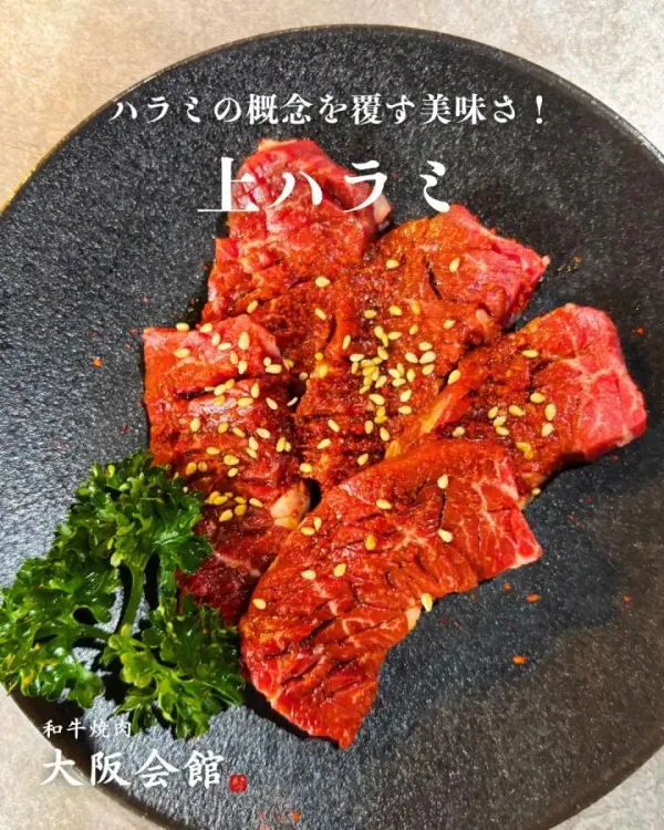와규 야키니쿠 오사카회관 사진 3