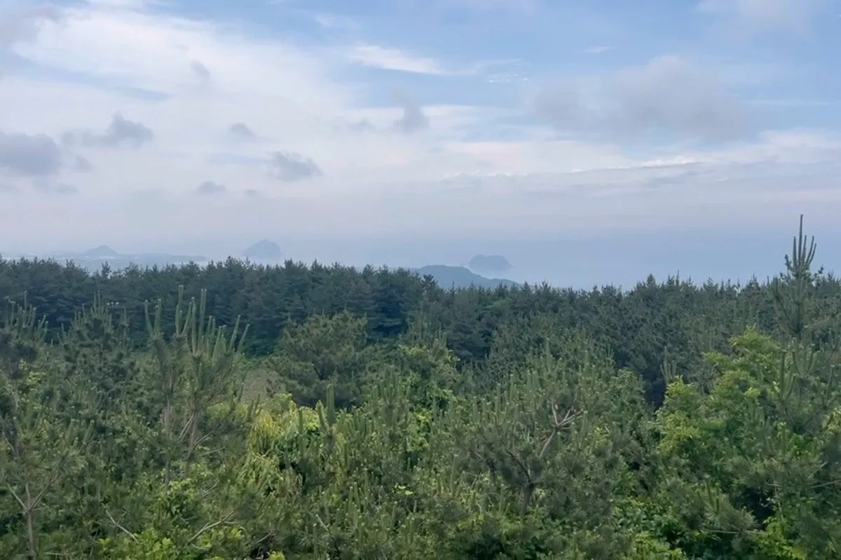 고근산