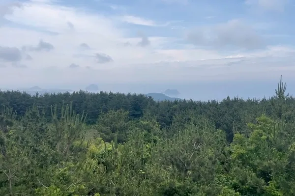 고근산
