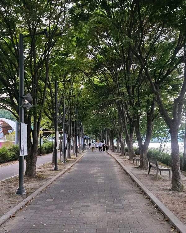 의암공원 사진 5