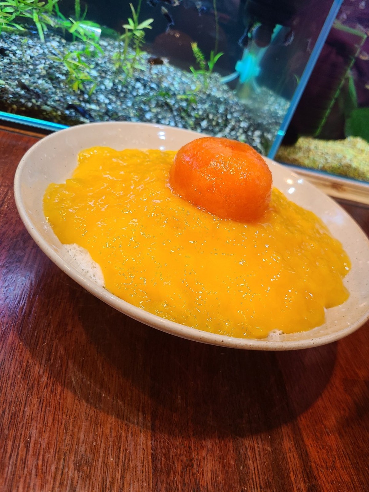 메치카불라 사진 3