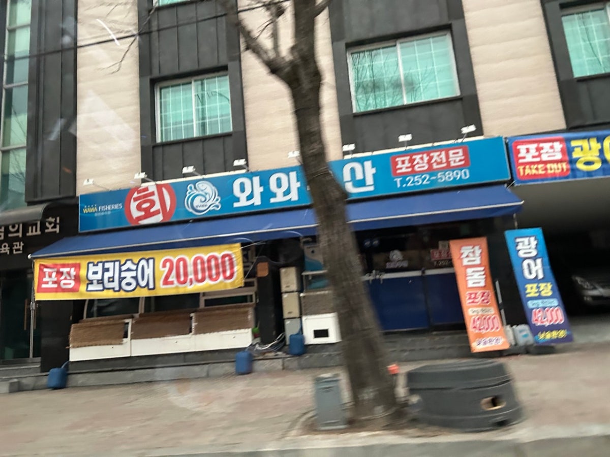 와와수산 사진 5