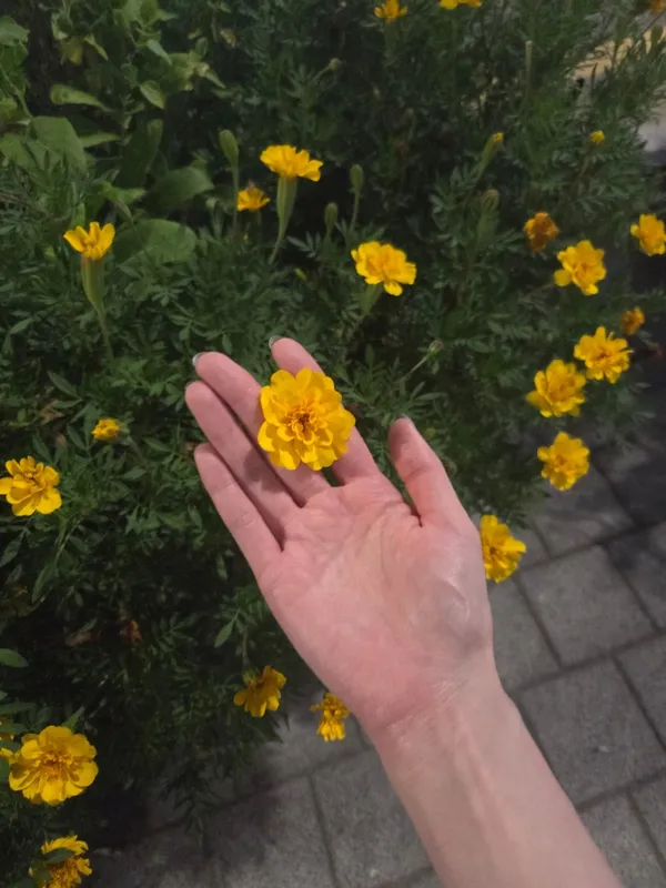 수정생태