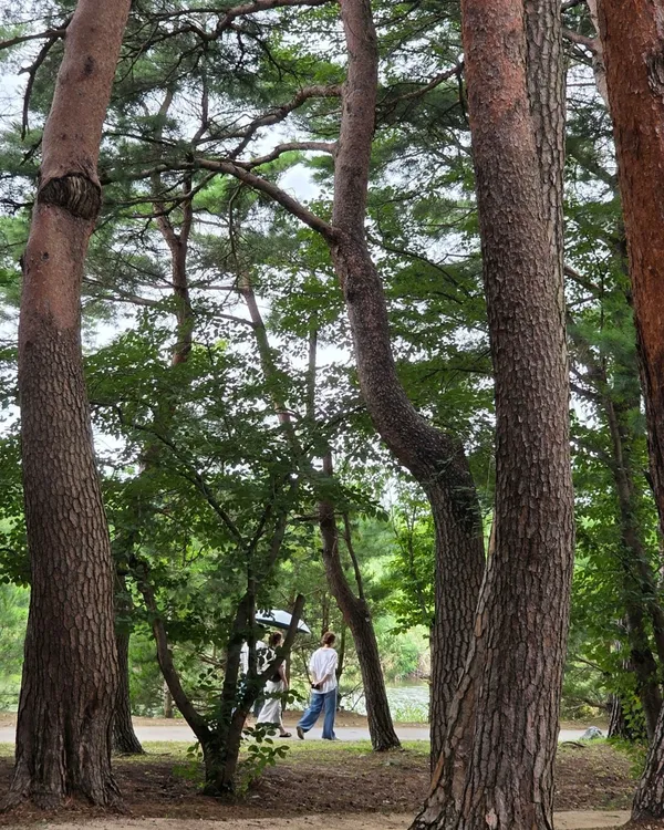 허균.허난설헌기념공원 사진 4