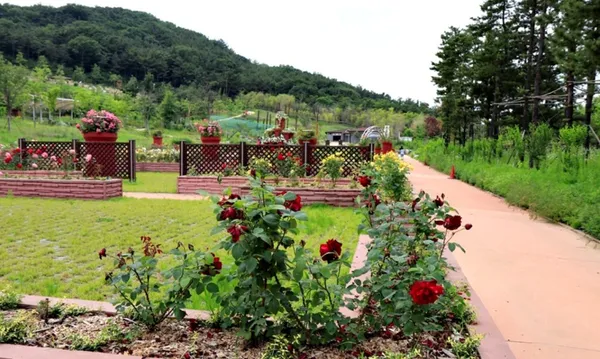 바다향기수목원 사진 3