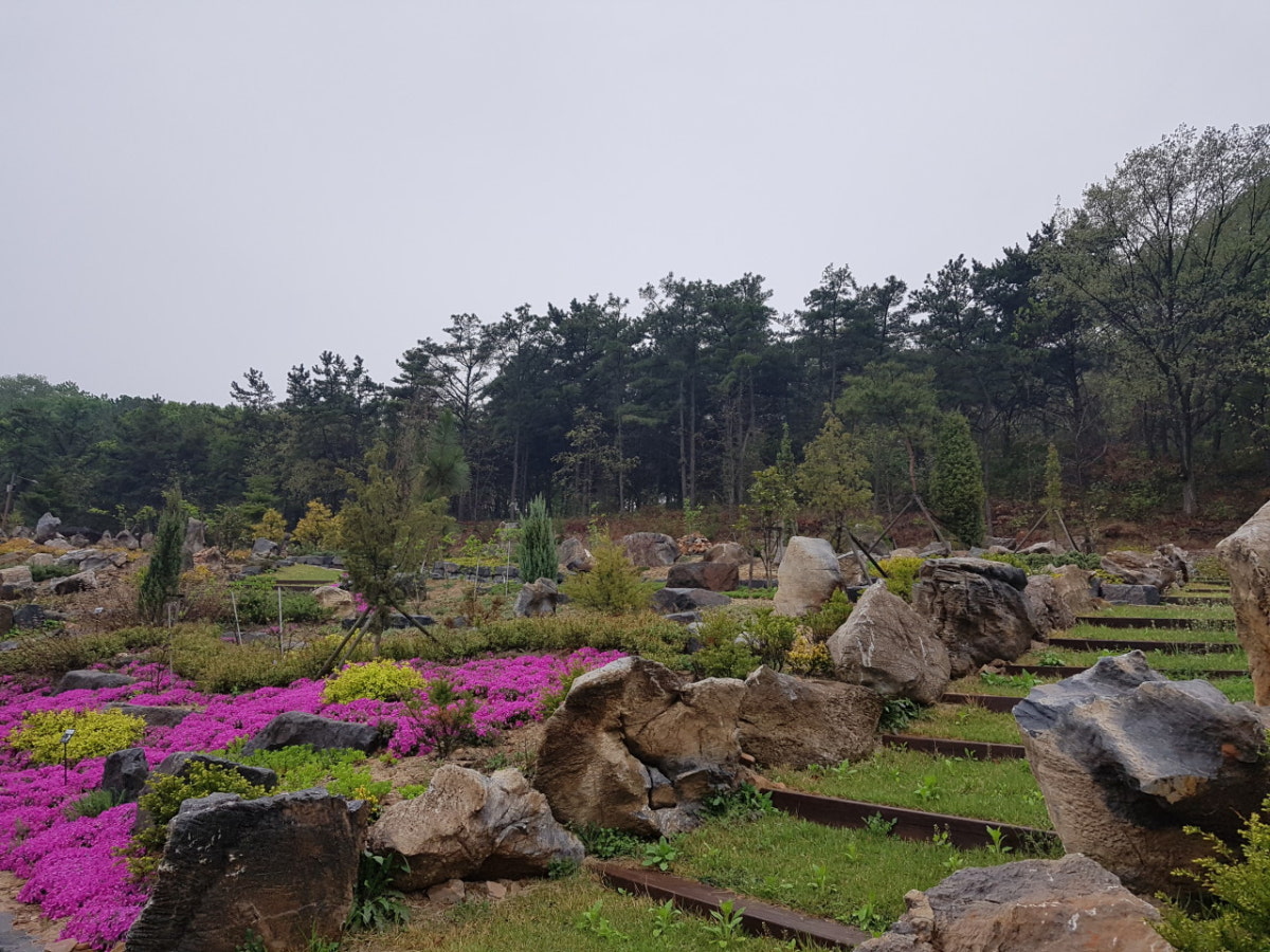 바다향기수목원 사진 5