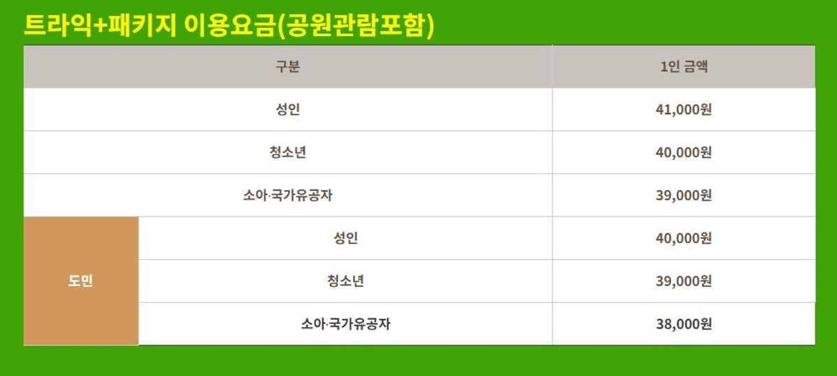 비체올린 사진 4