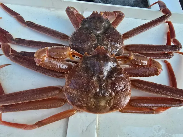 축산항횟집 사진 2