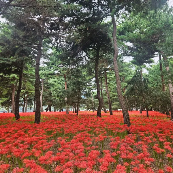 하동 추천 9곳
