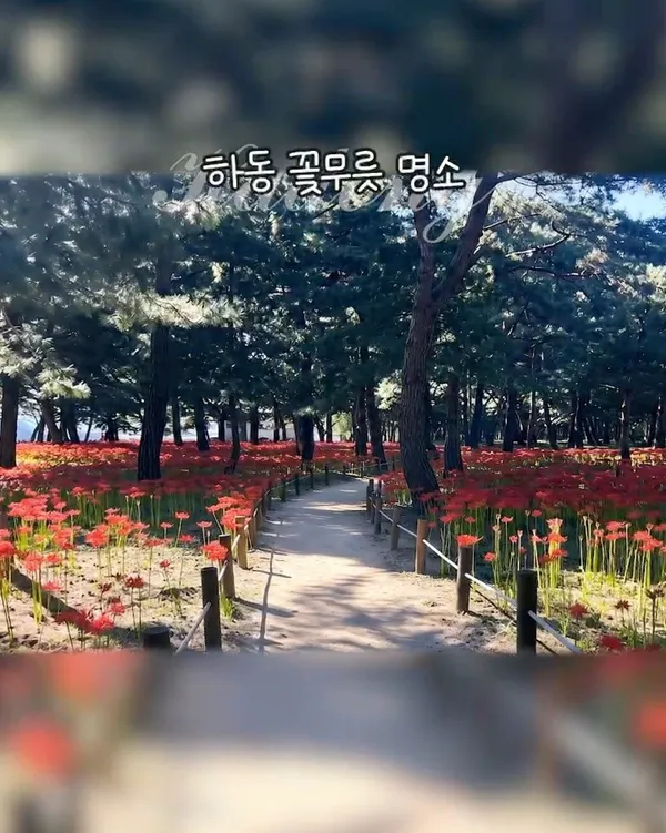 하동송림공원 사진 4