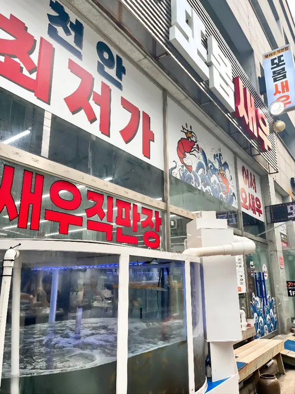 또봅새우