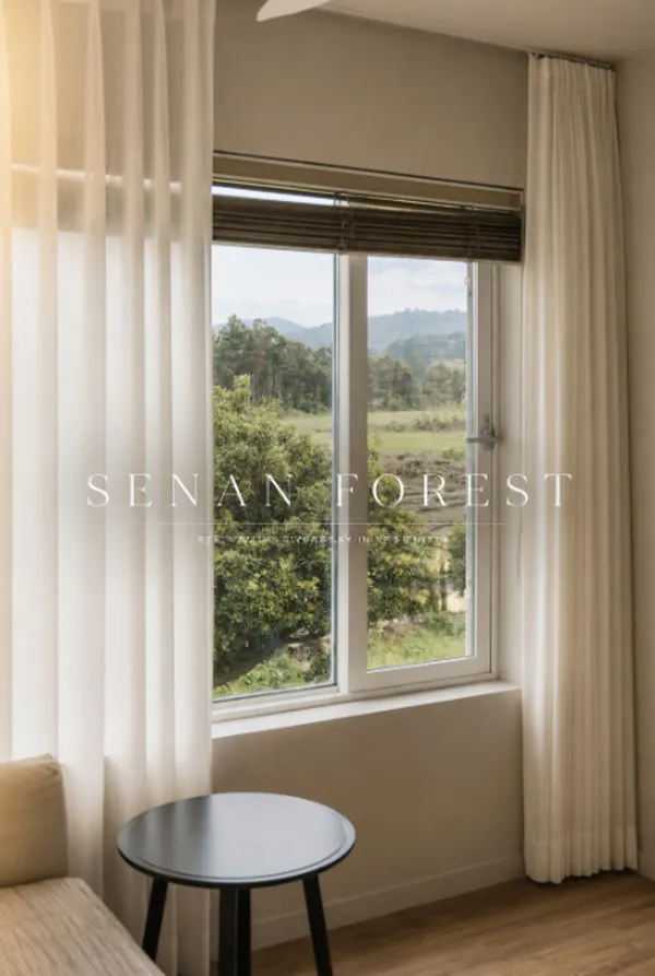 세난포레스트