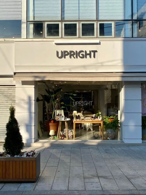 업라이트