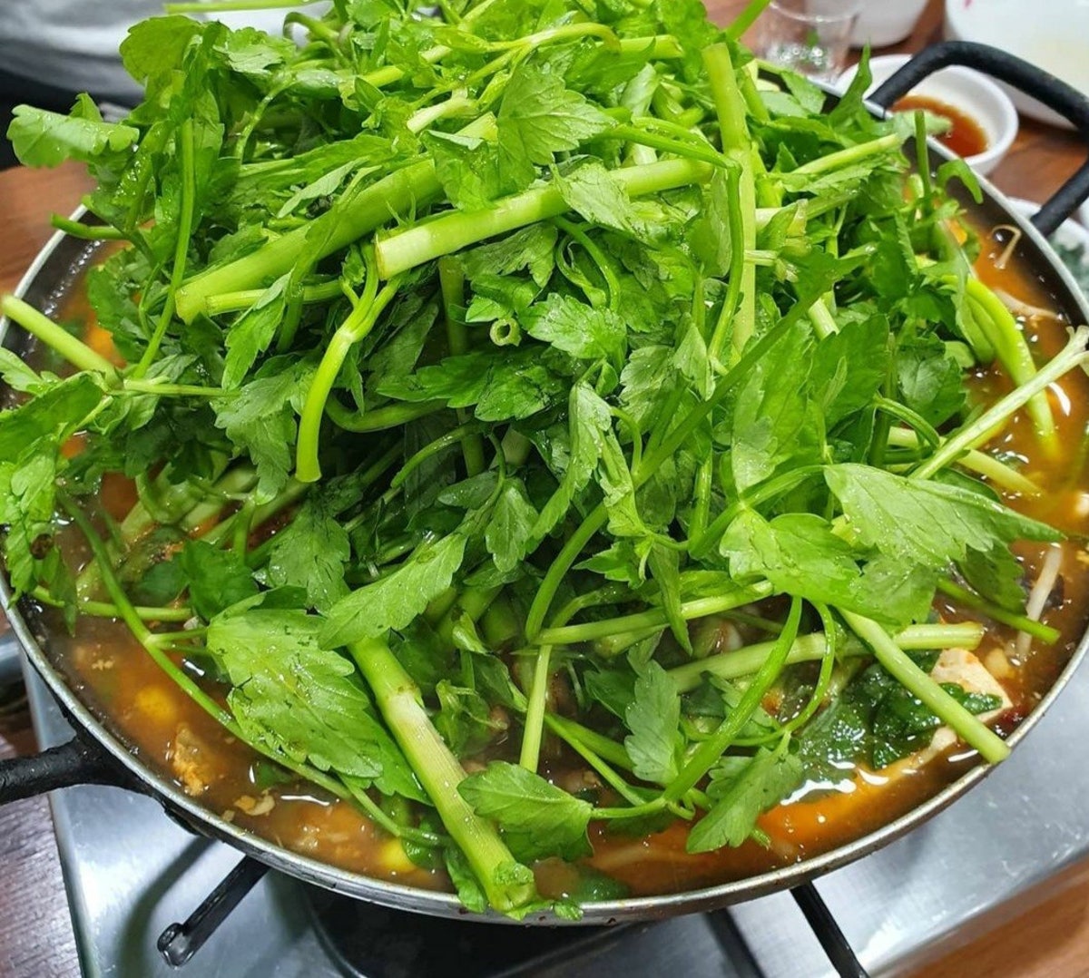 속초생태집 사진 5