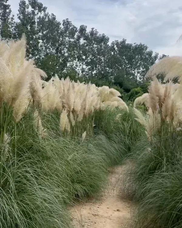 청산수목원
