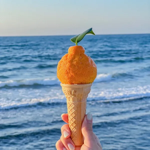 휴즐리 제주본점 사진 2